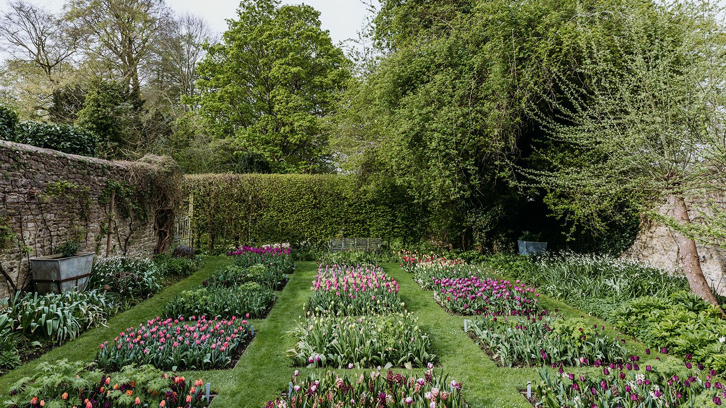 An ever-evolving garden by Arne Maynard that bursts to life in spring