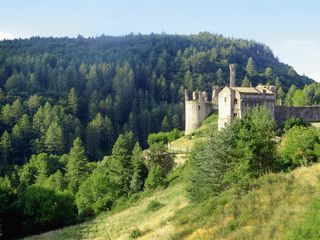 Image may contain Plant Vegetation Architecture Building Castle Fortress Land Nature Outdoors Tree and Woodland