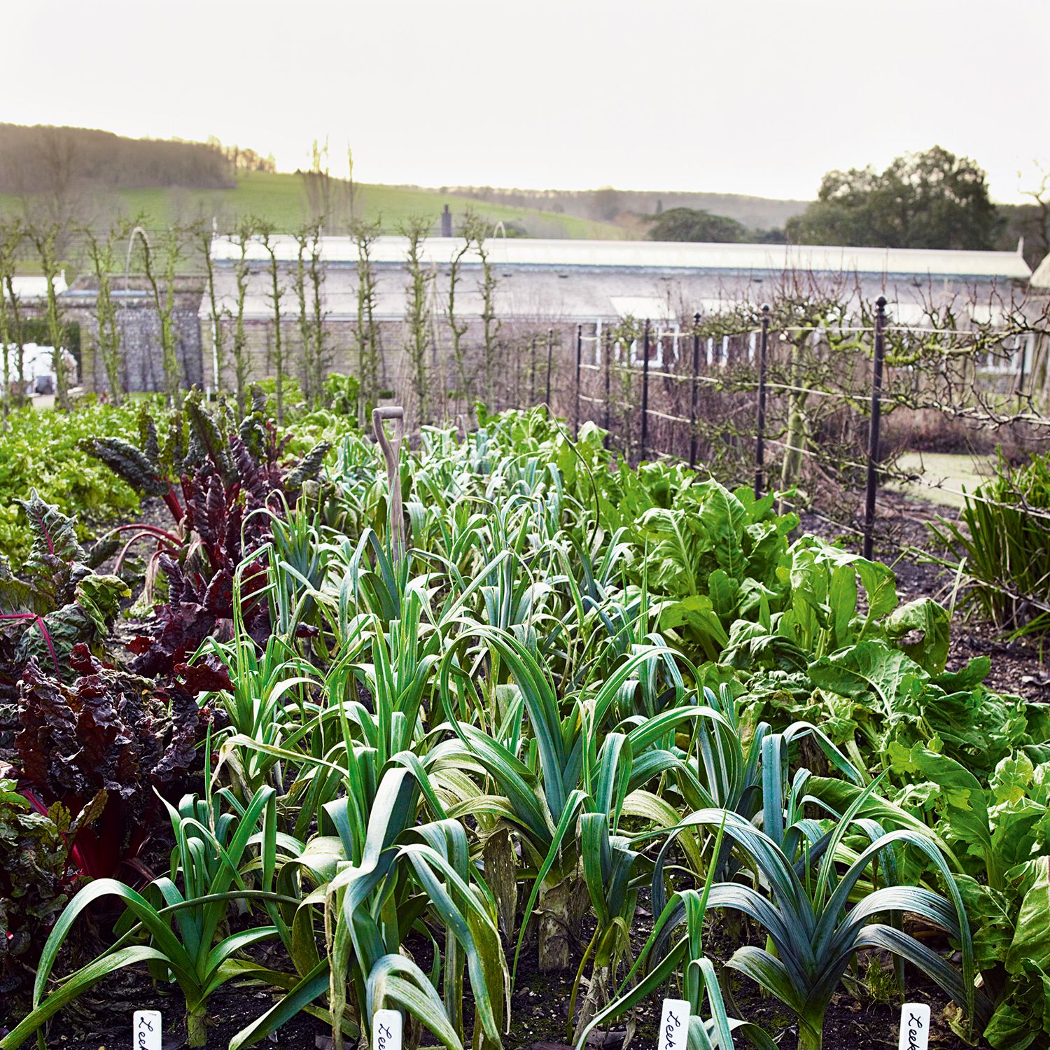 What is no-dig gardening? Everything you need to know about the popular method