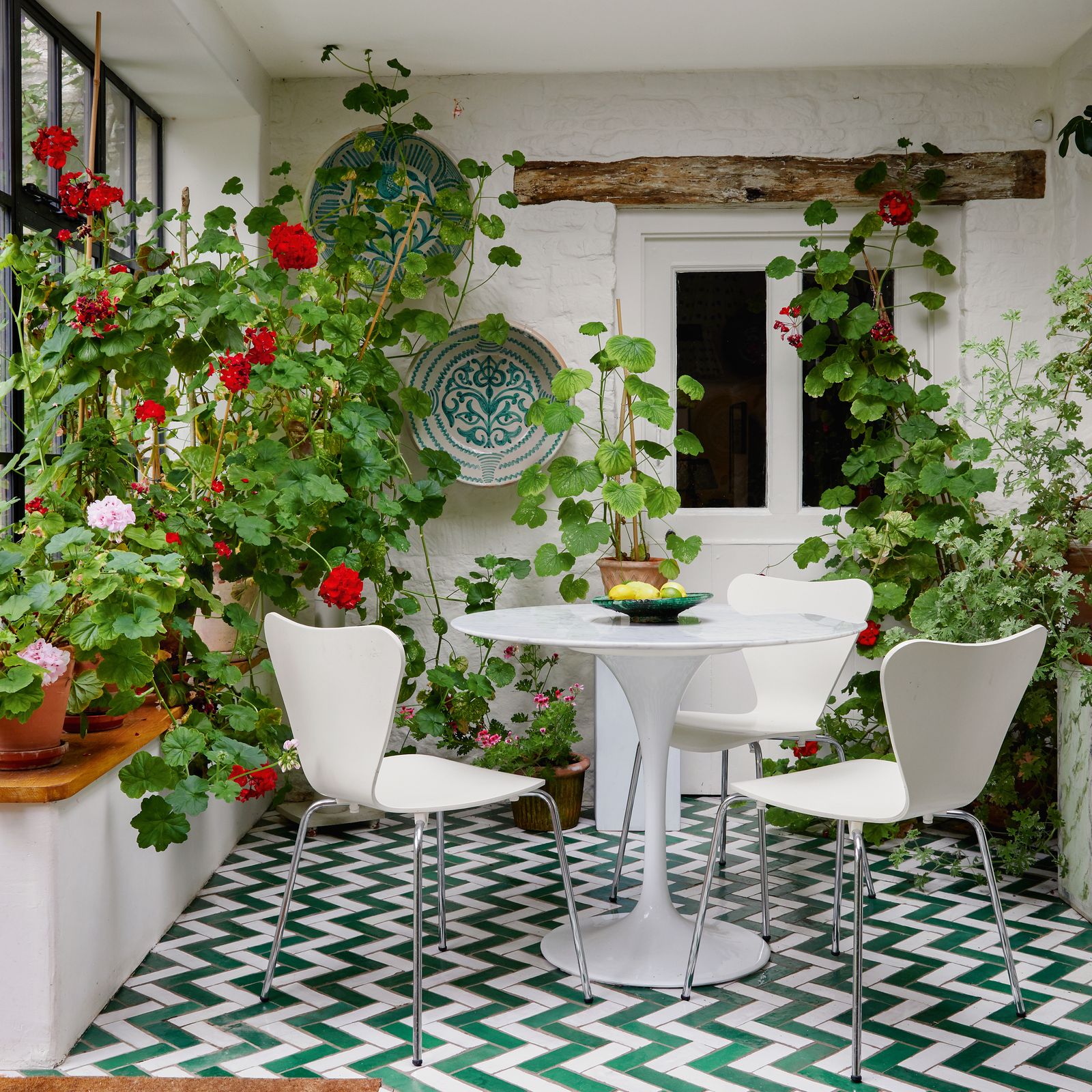 Top of the pots &#8211; the new houseplant trends for 2025