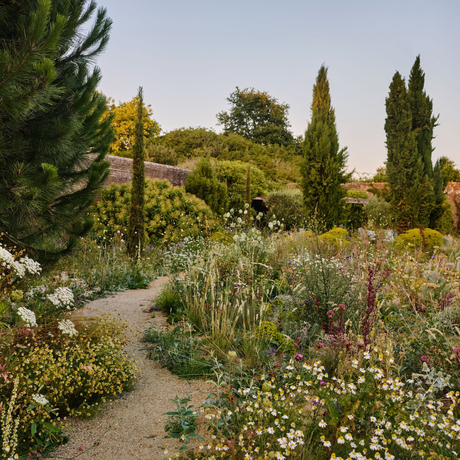 Why you should embrace the untidy edges of your garden
