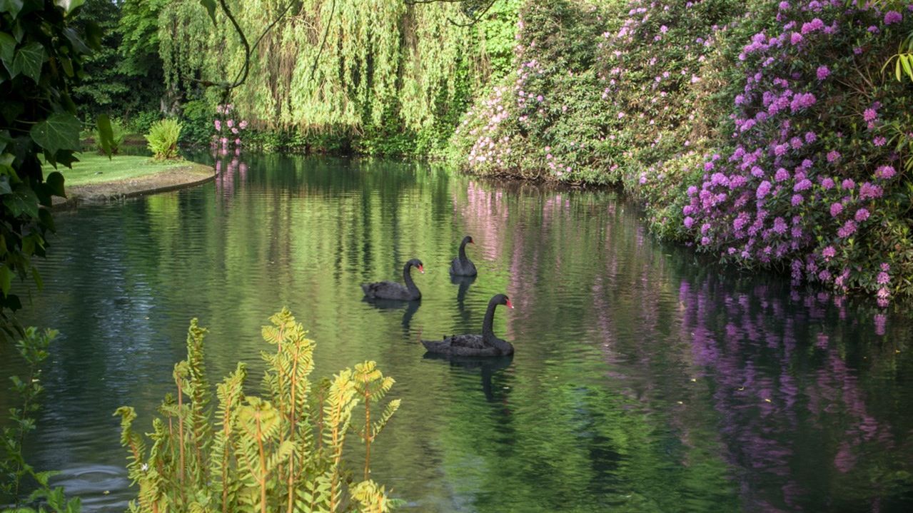 From the archive: the gardens of Shute House are Sir Geoffrey Jellicoe's masterpiece